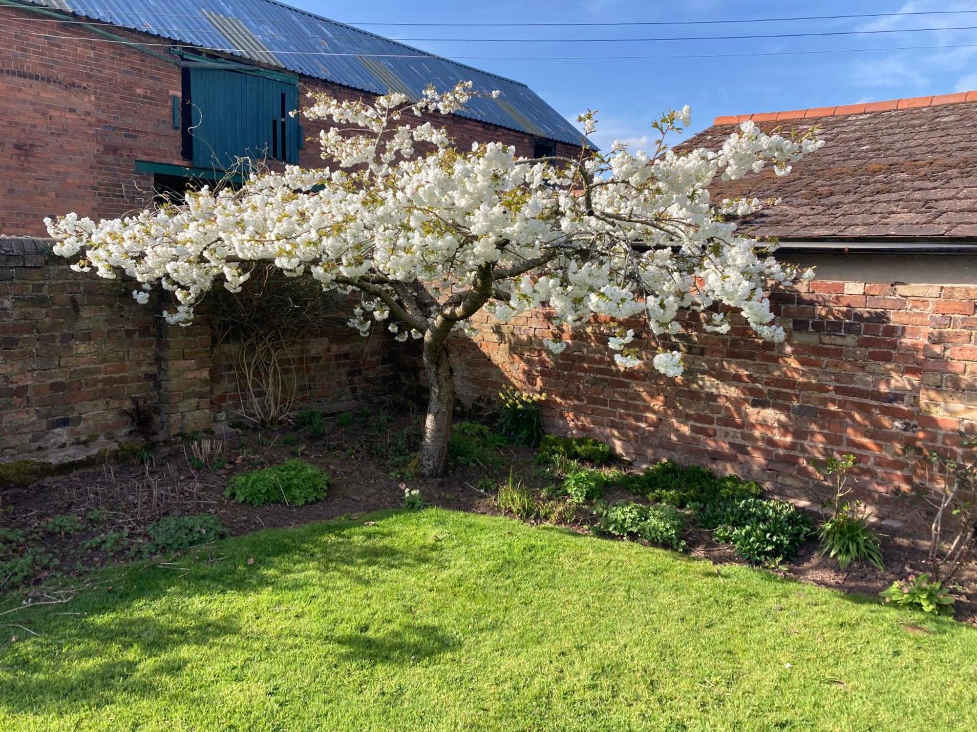 Church Farm B&B Near Telford And Ironbridge Shifnal Luaran gambar