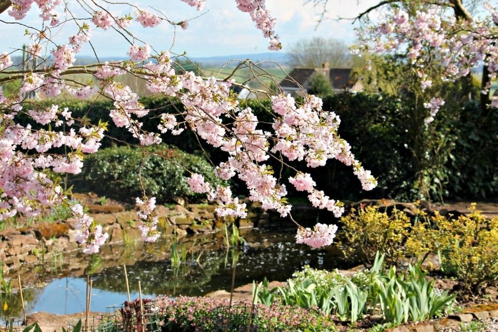 Church Farm B&B Near Telford And Ironbridge Shifnal Luaran gambar