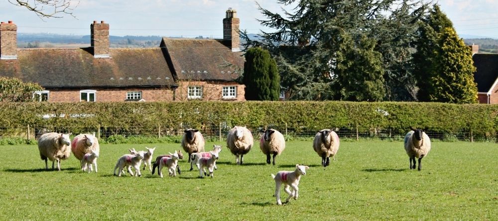 Church Farm B&B Near Telford And Ironbridge Shifnal Luaran gambar